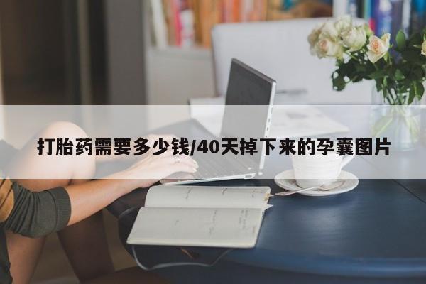流产药货到付款打胎药需要多少钱/40天掉下来的孕囊图片